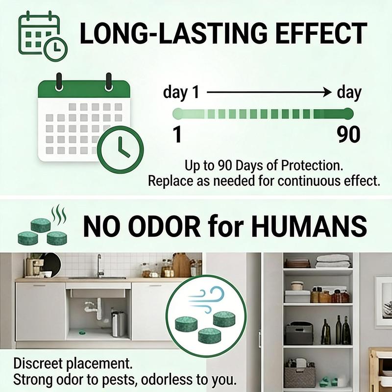12 Pack Natural for Storage