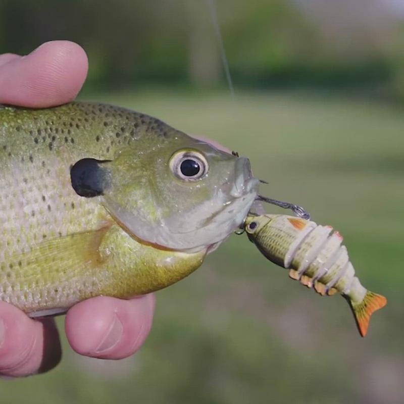 Lures with BKK Hooks 3D Realistic Eyes