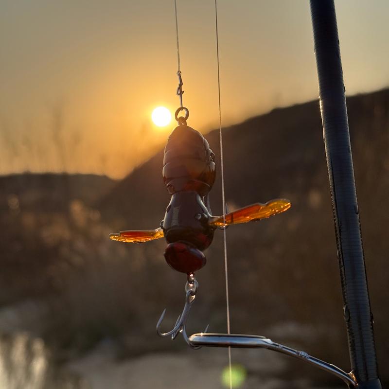 Realistic Topwater Wasp Lure