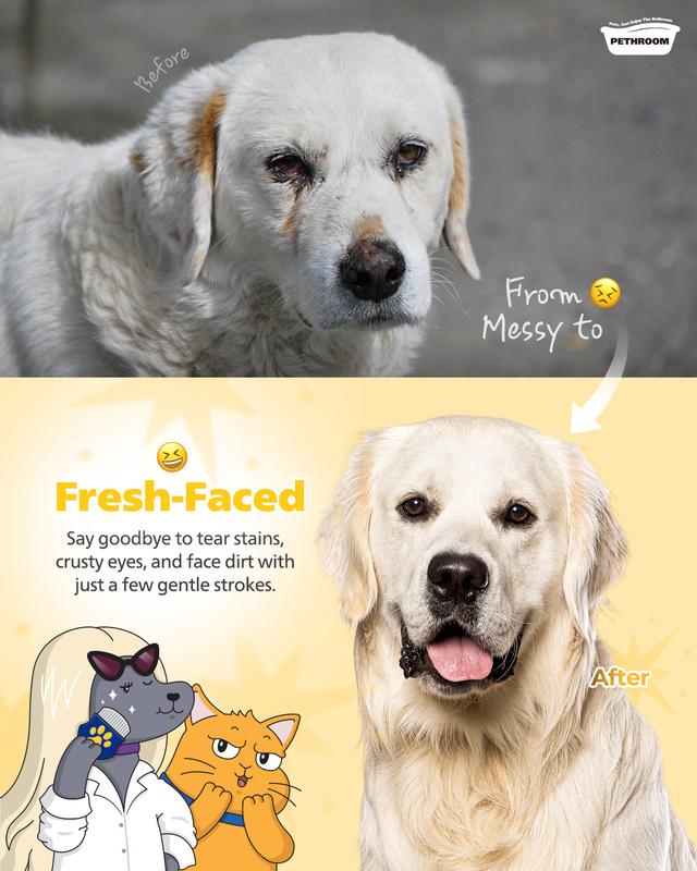 Easy Facial Comb