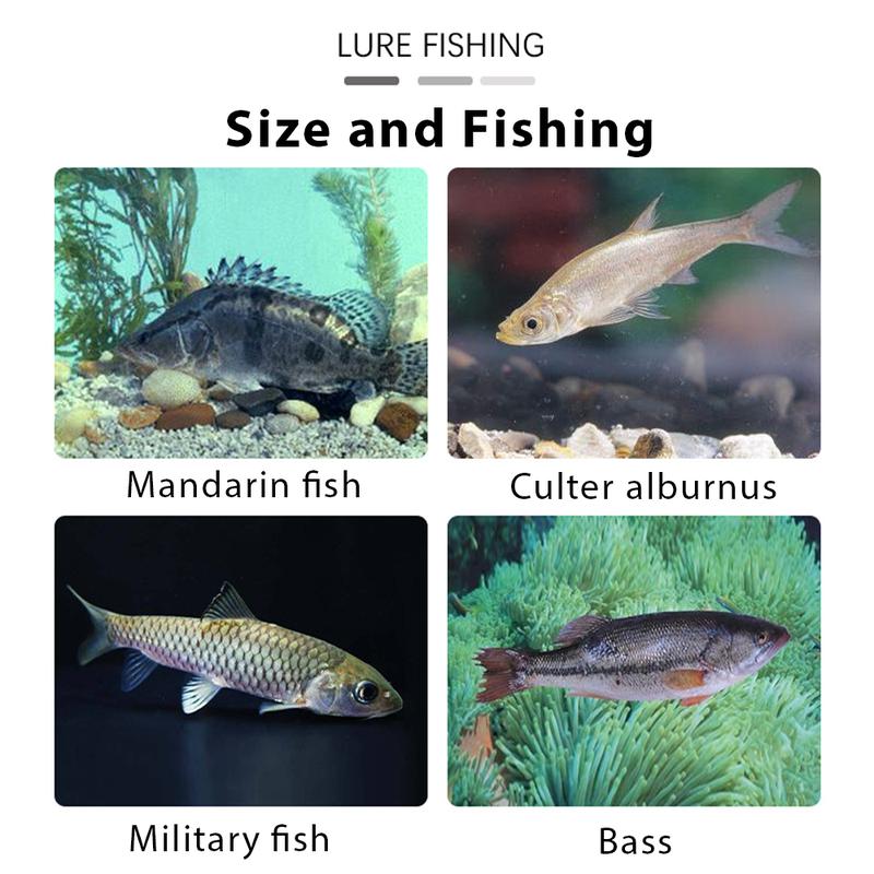 6Pcs Multiple Pre-Rigged Jig Head Soft FishingLures